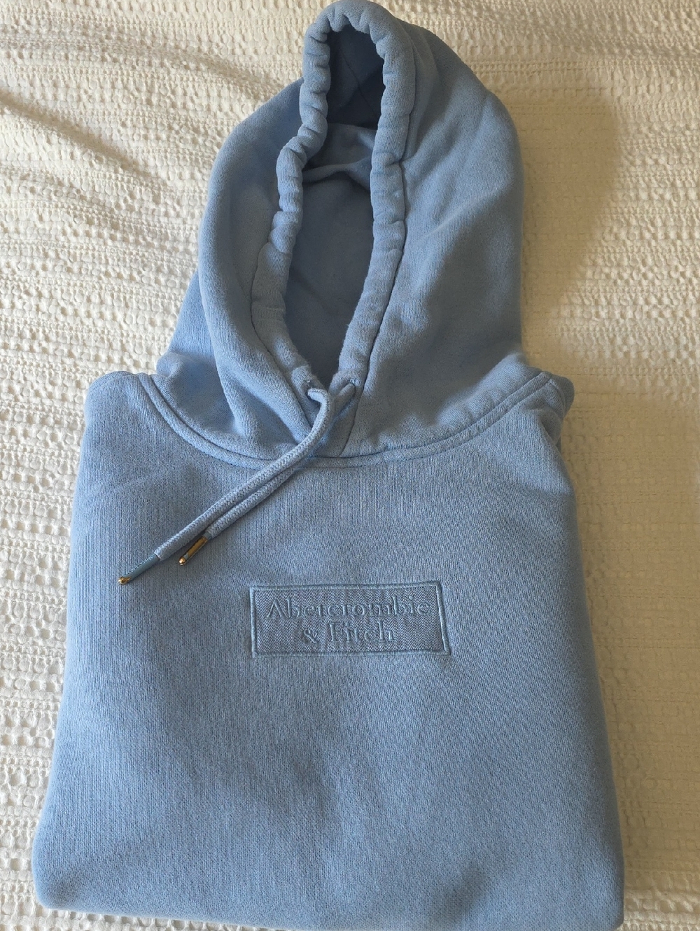 Abercrombie & Fitch Men's Pastel Blue Hooded Sweatshirt